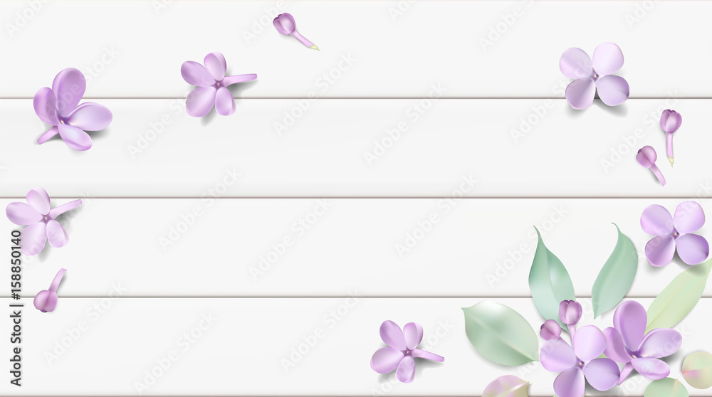 Pastel background with lilac flowers.