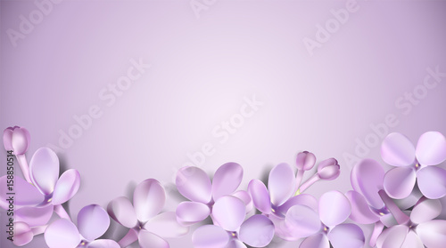 Pastel background with lilac flowers.