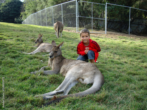 Photography A boy and a cagaroo.. In Australian Lone Pine Koala Santuary