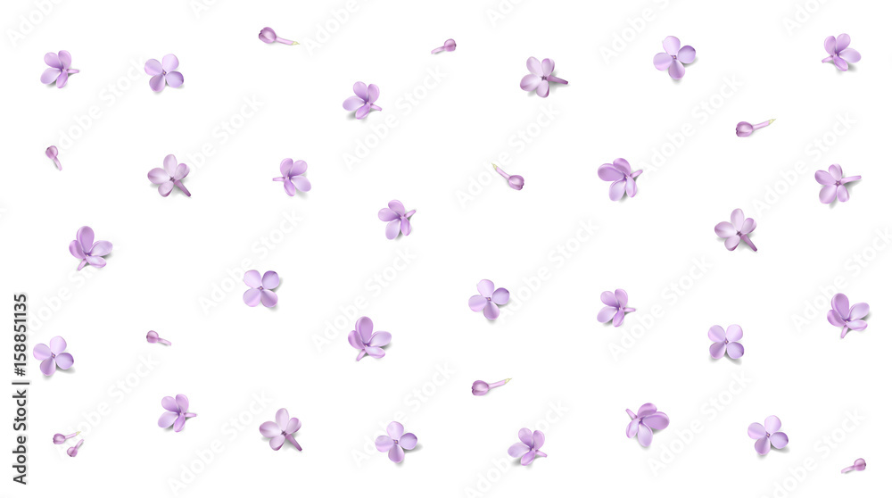 Pastel background with lilac flowers.