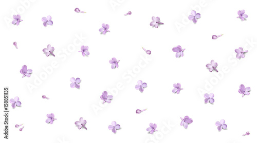 Pastel background with lilac flowers. © Premium_art