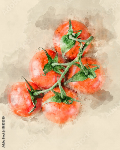 Bunch of ripe tomatoes. Watercolor background