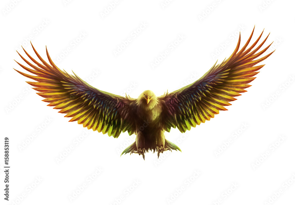 Fototapeta premium Eagle soaring