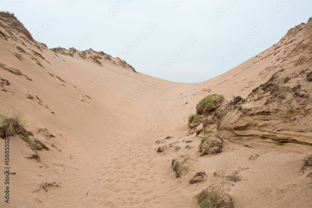 Sand dunes on the English coast