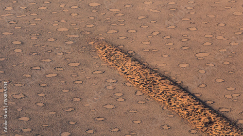 Fairy Circles, Namib Naukluft Park, Namibia