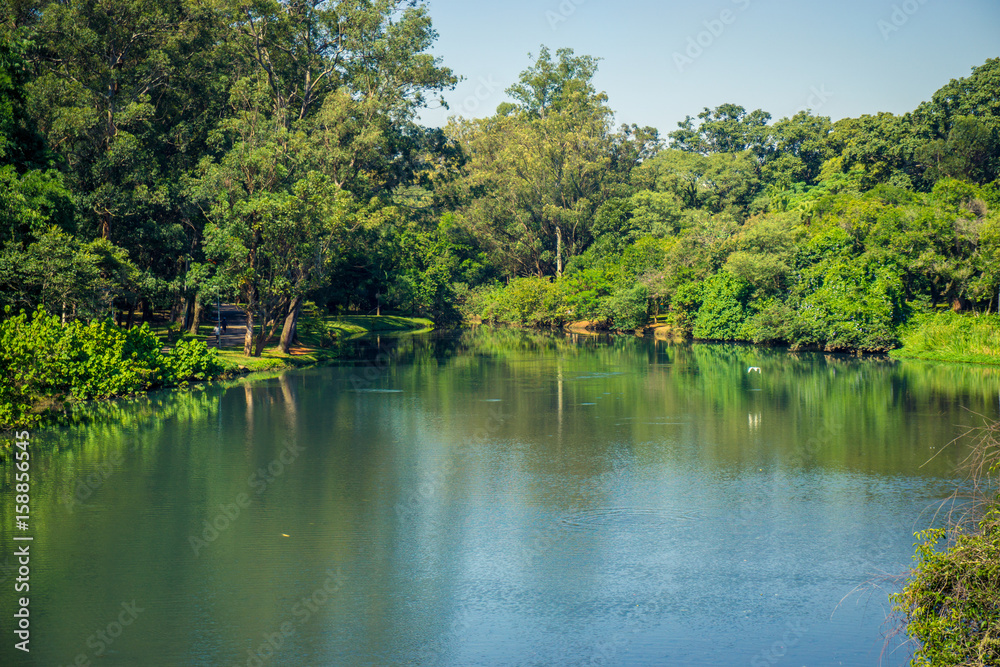 Ibirapuera Park, Sao Paulo, Brazil - Beautiful pond inside the park.