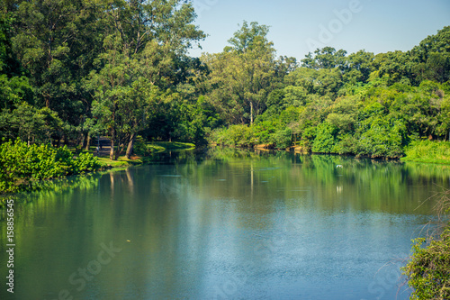 Ibirapuera Park  Sao Paulo  Brazil - Beautiful pond inside the park.