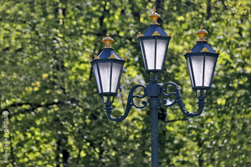 street lamp on a background of green trees