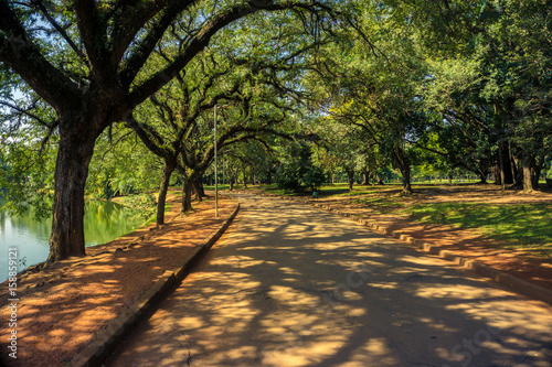 Hiking or running trail in Ibirapuera Park, Sao Paulo, Brazil. photo