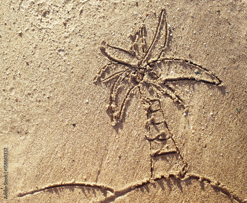 Drawing of a palm tree on sea sand on the beach