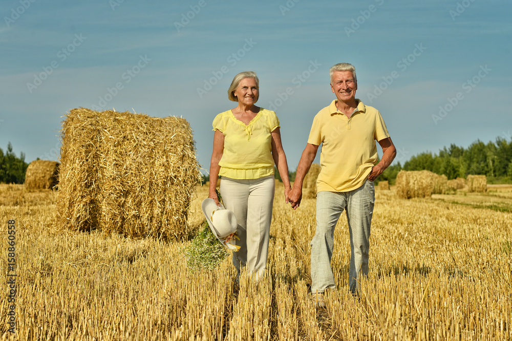 Senior couple on mowed field of wheat 