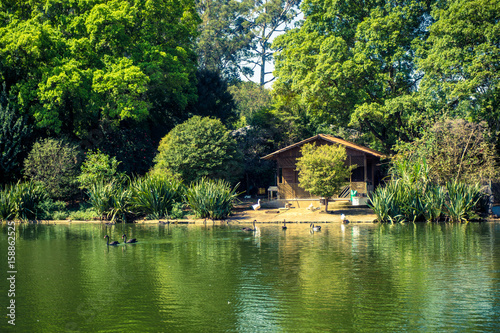 House of animals in Ibirapuera Park  Sao Paulo  Brazil.