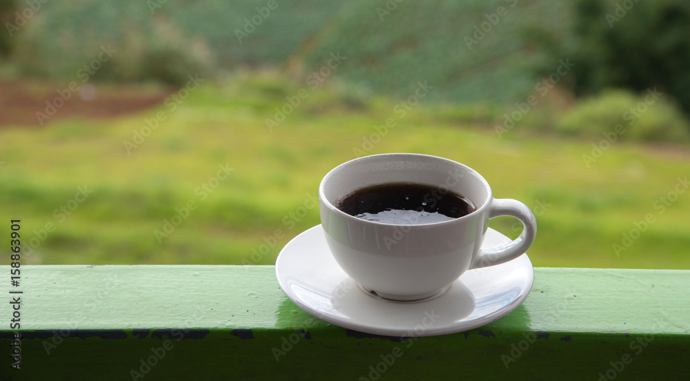 Morning cup of coffee on green cabbage field background