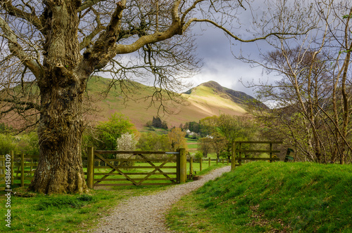 Footpath in the Lake District