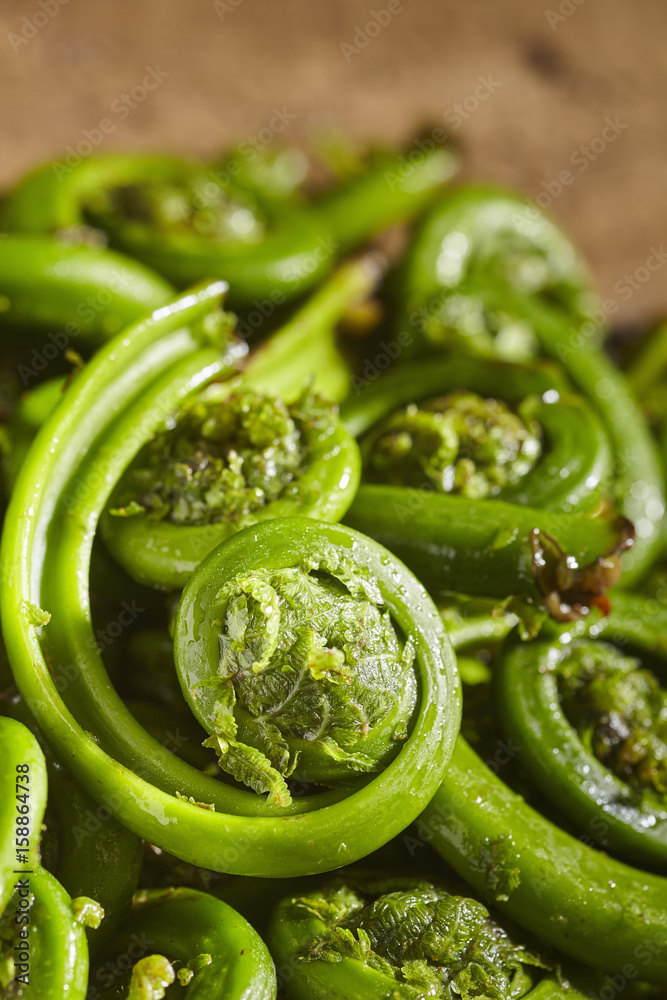 raw, fresh fiddleheads from New Hampshire, USA