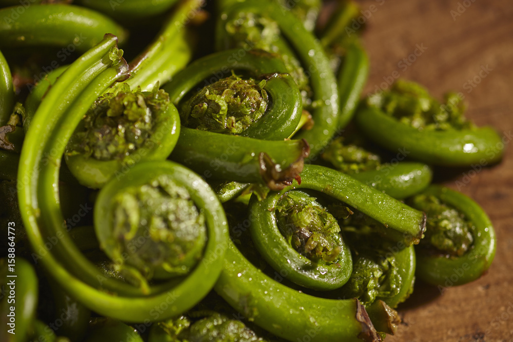 raw, fresh fiddleheads from New Hampshire, USA raw, fresh fiddleheads from New Hampshire, USA
