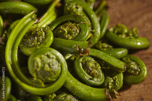 raw, fresh fiddleheads from New Hampshire, USA