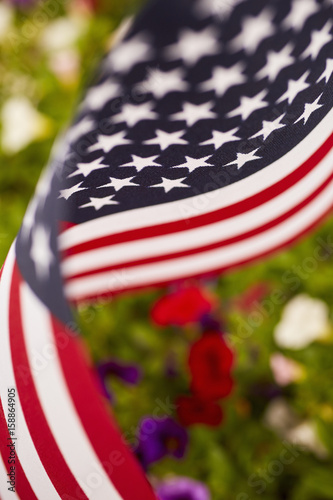American flag in a garden