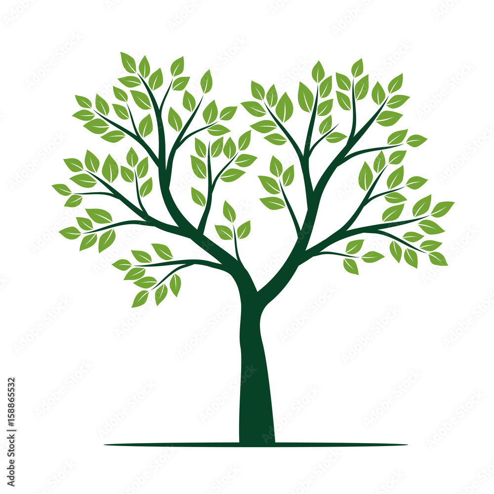Natural Green Tree with Leaves. Vector Illustration. Natural Green Tree with Leaves. Vector Illustration.