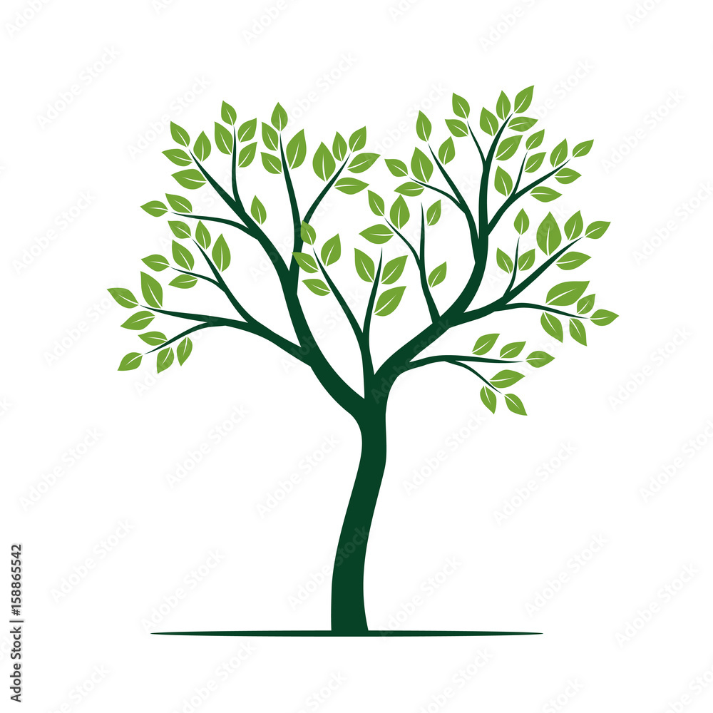 Natural Green Tree with Leaves. Vector Illustration. Natural Green Tree with Leaves. Vector Illustration.