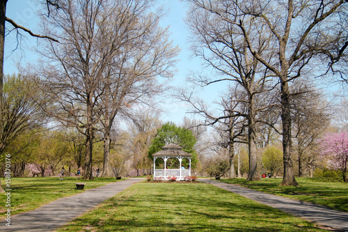 White gazebo in the park