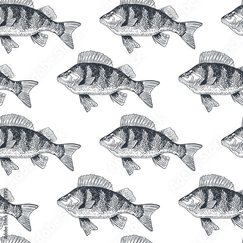 Fish crucian carp, isolated black and white, side view.