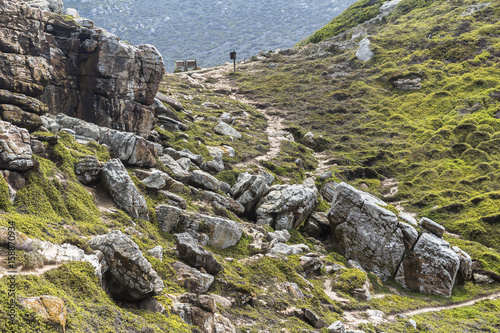 Green landscape on cape of good hope