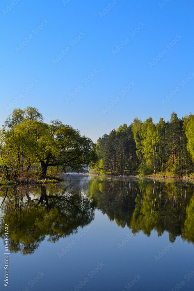 Forest and sky reflected in the calm blue water of Lake Forest. Early morning. Vertical view