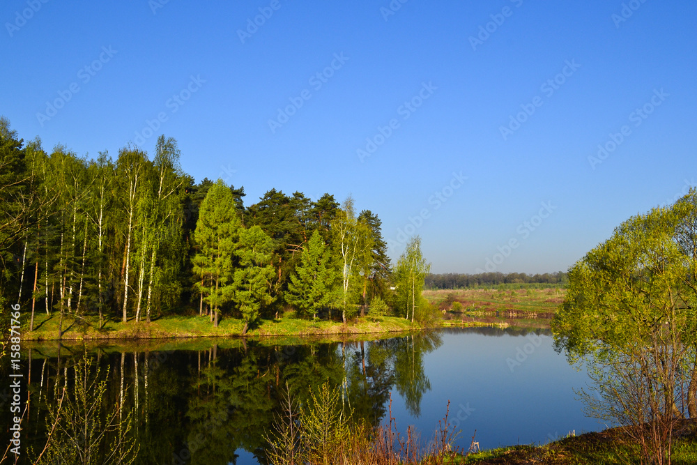 Forest and sky reflected in the calm blue water of Lake Forest. Early morning.