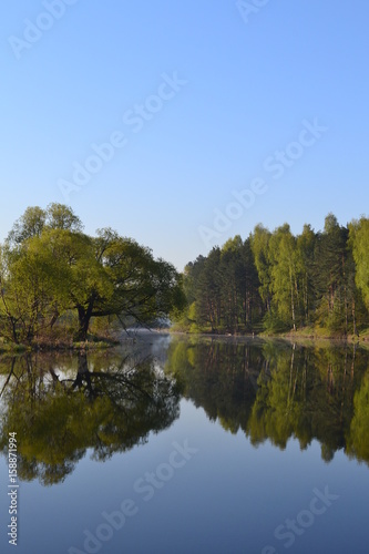Fototapeta Naklejka Na Ścianę i Meble -  Forest is reflected in the calm blue water of the forest lake.
