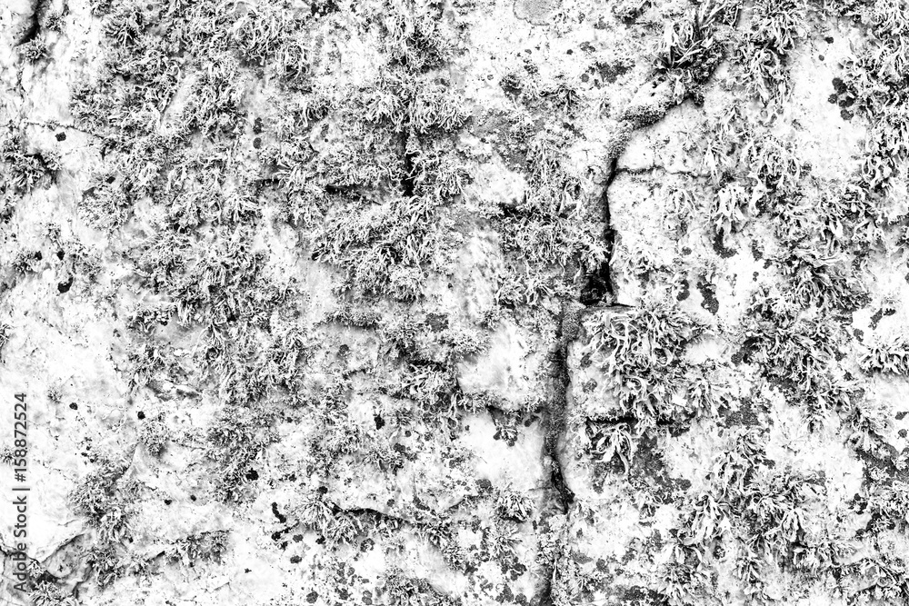 Obraz premium Wall fragment with scratches and cracks