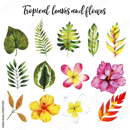 Watercolor set with tropical leaves and flowers