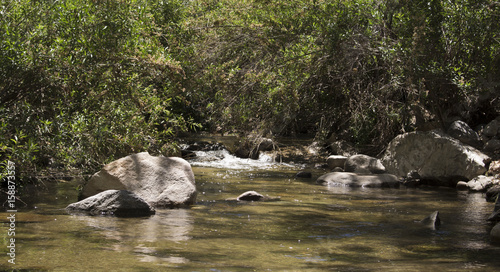 Miracle spring, California