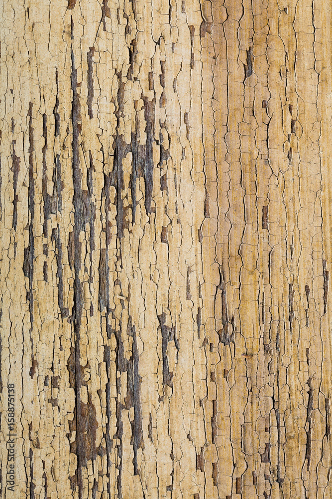 aged pastel paint on old wooden planks grunge texture aged pastel paint on old wooden planks grunge texture