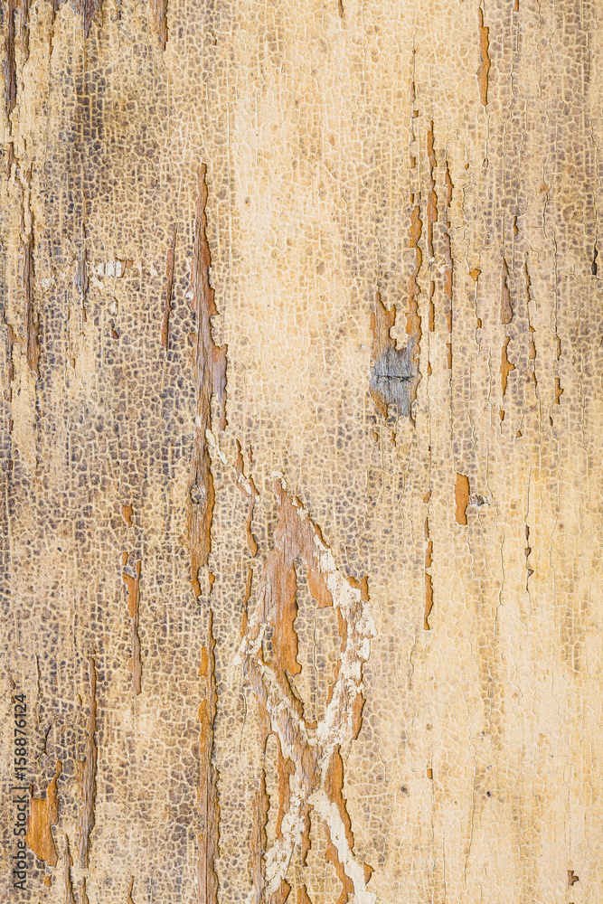 aged pastel paint on old wooden planks grunge texture aged pastel paint on old wooden planks grunge texture