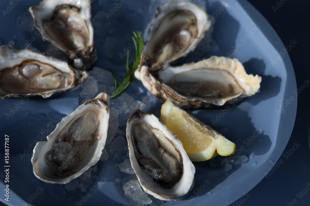 Fresh oysters on a tray with piece of lemon Fresh oysters on a tray with piece of lemon