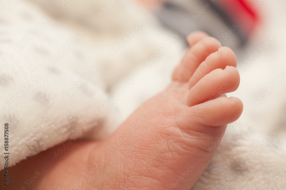 Foot of a newborn baby between a fluffy blanket Foot of a newborn baby between a fluffy blanket