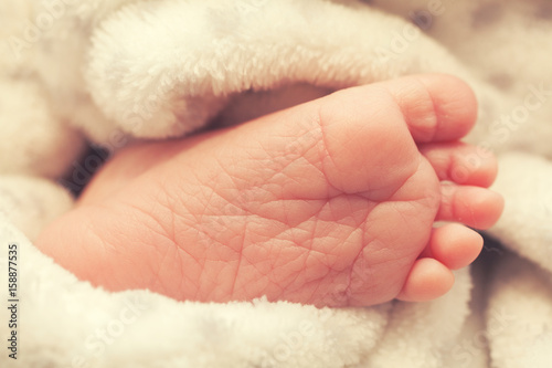 Foot of a newborn baby between a fluffy blanket
