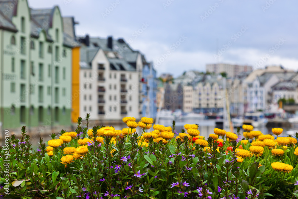 Flowers and cityscape of Alesund Norway