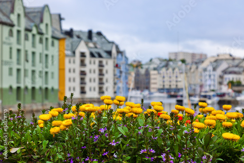 Flowers and cityscape of Alesund Norway