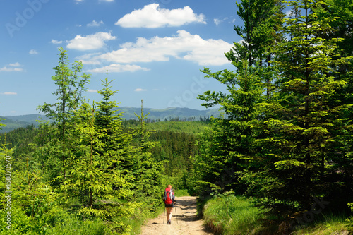 Fototapeta Naklejka Na Ścianę i Meble -  Hikings along tourist trails in the mountains Beskid in Poland with the backpack on the back.