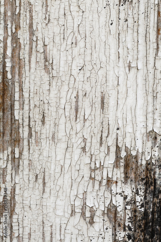 aged white paint on old wooden planks grunge texture © Thomas