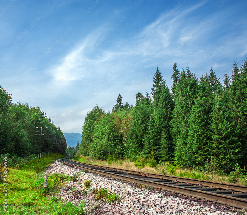 landscape railroad in summer forest day closeup landscape railroad in summer forest day closeup