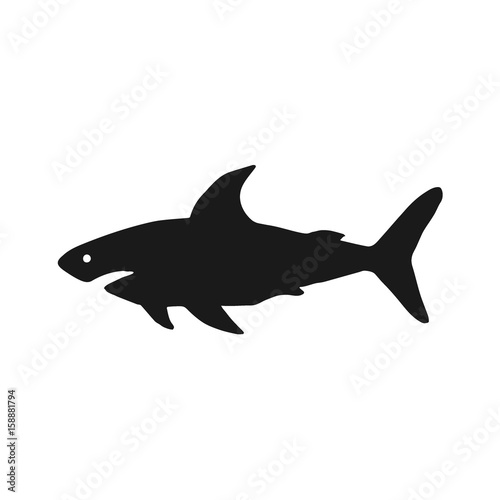 Black shark on isolated white background