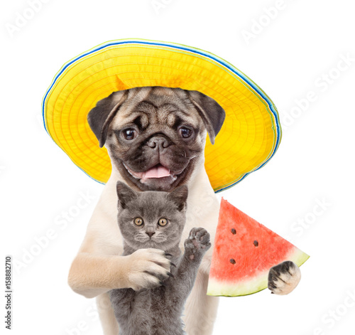 Funny summer dog embracing cat and holding a watermelon in his paws. isolated on white background © Ermolaev Alexandr