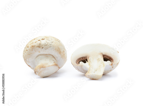  Fresh champignon mushrooms isolated on white background
