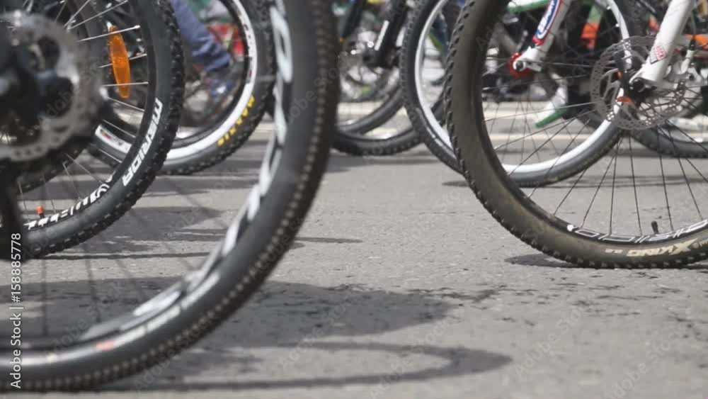 Bicycles in a city 