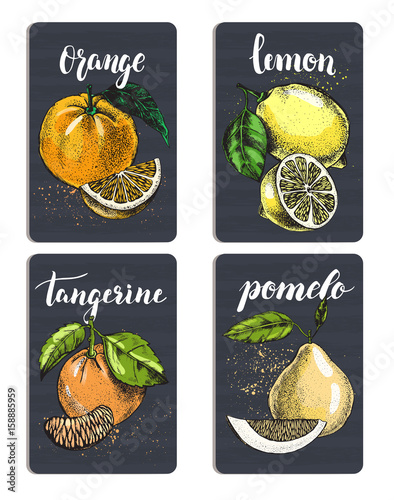 Set of cards with citrus fruits. Posters with hand drawn elements and brush calligraphy style lettering. Label or signboard template, vector illustration.