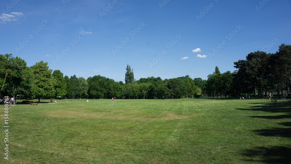Obraz premium Park in Vienna