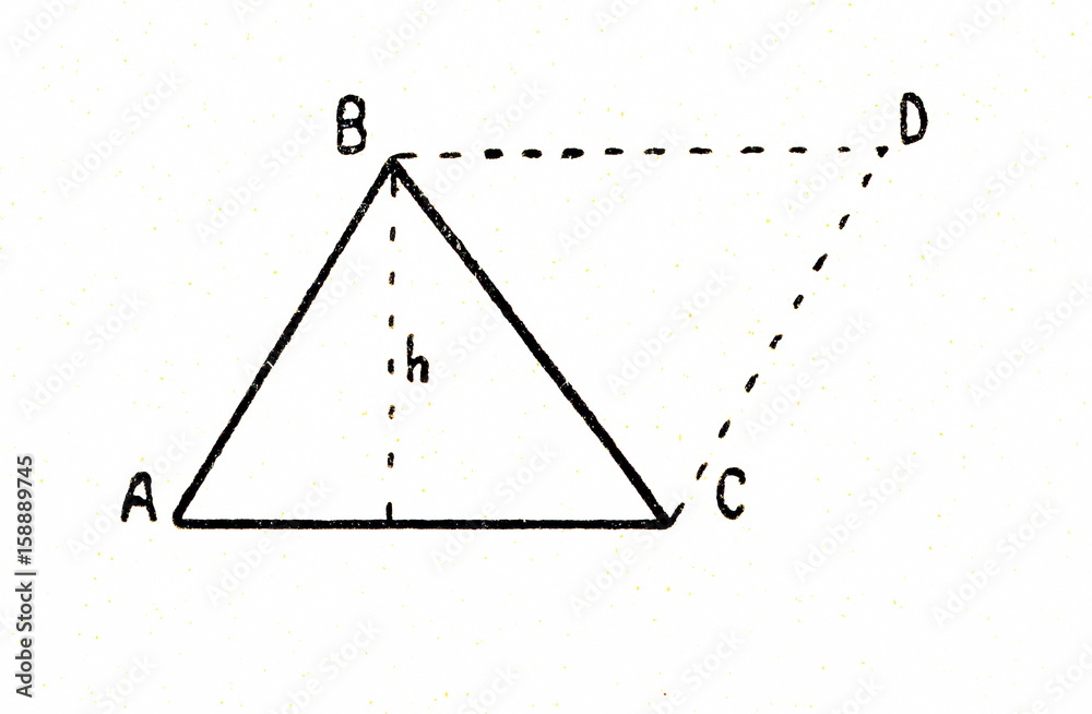 Theorem area of triangle is equal to the half of area of